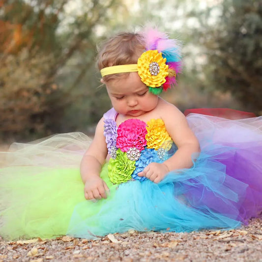 Rainbow Baby Fancy Tutu Dress (4 Sizes)